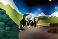 20220613dinosaurs-hc07