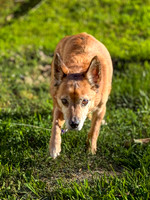 20250521sebastian-hc016