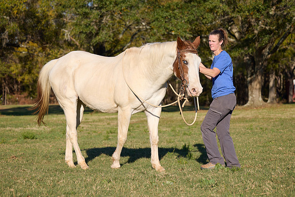 20241125princess-hc0821