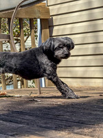20250317jack-hc039
