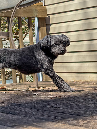 20250317jack-hc039