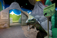 20220613dinosaurs-hc04