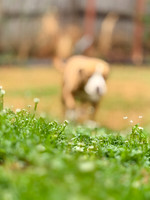 20250316lulu-hc066