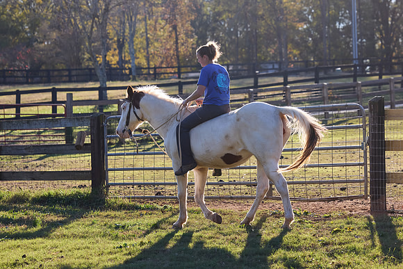 20241125princess-hc0940