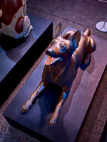 20250923war-dogs-hc030hdr