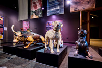20250923war-dogs-hc027hdr