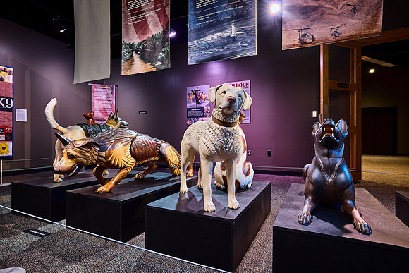 20250923war-dogs-hc027hdr