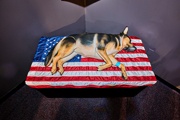 20250923war-dogs-hc035hdr