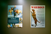 20250923war-dogs-hc041hdr