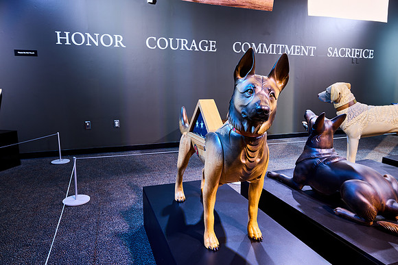 20250923war-dogs-hc051hdr
