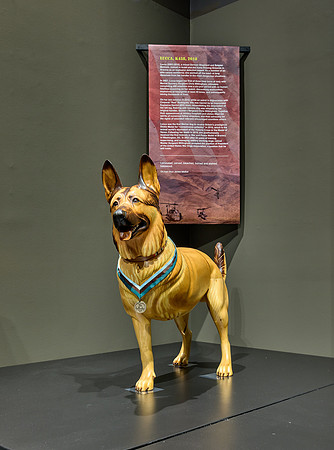 20250923war-dogs-hc062hdr