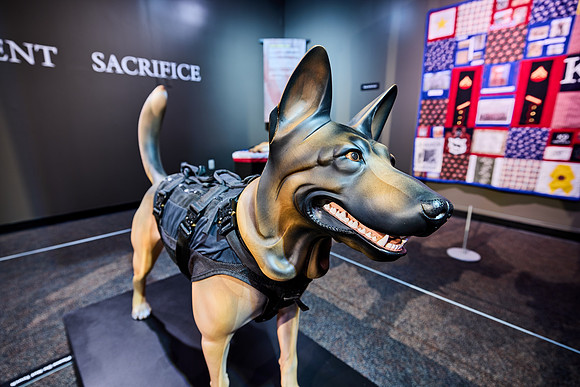20250923war-dogs-hc084hdr