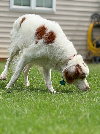 20250610kalocy-hc50