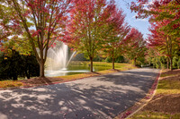 20251021-237cedar-crossing-ln-hc0230hdr