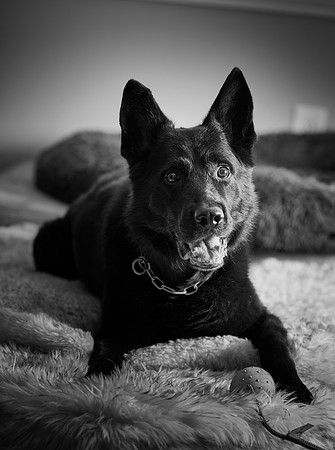 20240117fayne-hc047bw