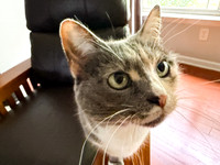 20250610wiley-hc80