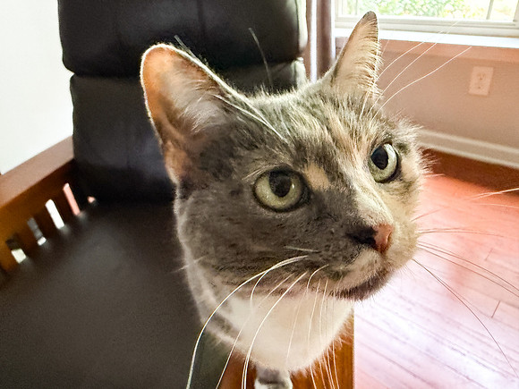 20250610wiley-hc80