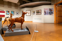 20220130war-dogs-hc-hc48