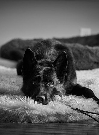 20240116fayne-hc044bw