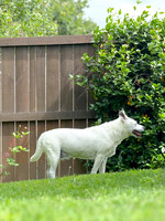 20250610wiley-hc75
