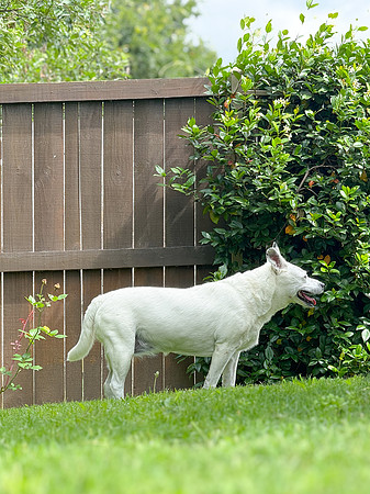 20250610wiley-hc75