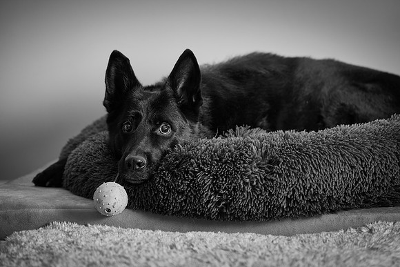 20240116fayne-hc040bw