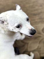20250610wiley-hc71