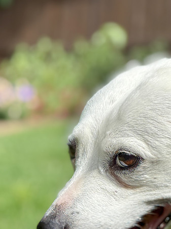 20250610wiley-hc74
