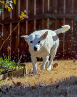 20250117belle-hc296