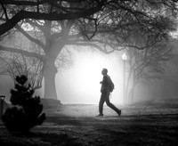 20200226walk-in-fog-hc1bw