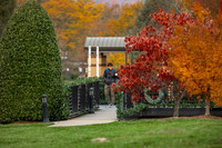 20191122autumn-walk-hc36