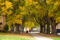 20191122autumn-walk-hc09