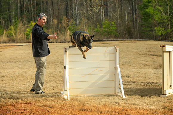 20190226k9-gardner-hc28