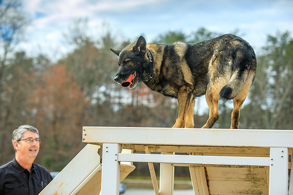 20190226k9-gardner-hc21