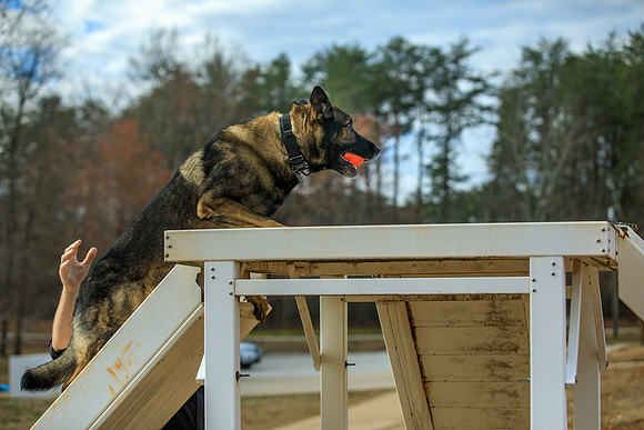 20190226k9-gardner-hc20