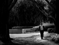 20180313spring-walk-hc16bw