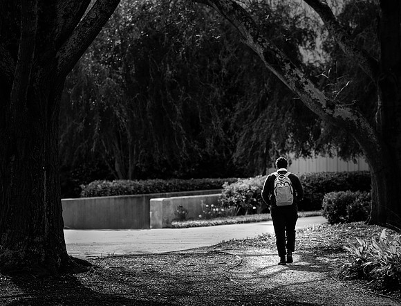 20180313spring-walk-hc16bw