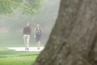 20170428fog-walk-hc09