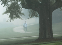 20170428fog-walk-hc06