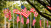 20160411flags-hc2