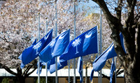 20160321sc-flags-hc14