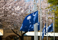 20160321sc-flags-hc15