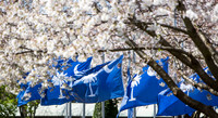 20160321sc-flags-hc12