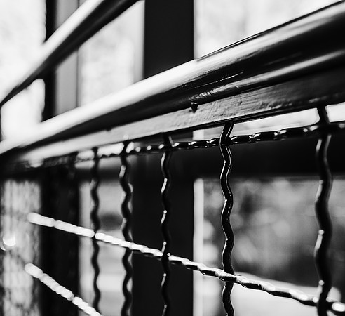 20160302railing-hcbw