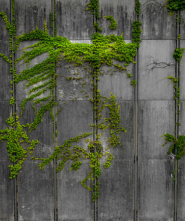 20150611upaa-hc108