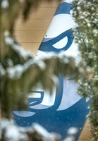 20150224snow-brody-hc