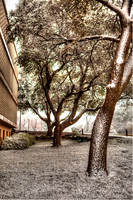 20140211snow-composite3hc