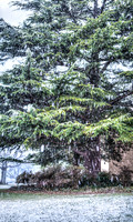 20140211snow-composite-hc2
