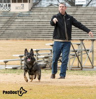 ProDogTV