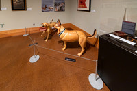 20220130war-dogs-hc-hc44
